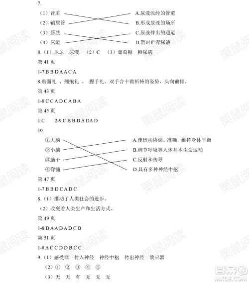 黑龙江少年儿童出版社2021暑假Happy假日五四学制六年级综合答案