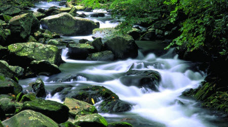 关于乡土中国的材料作文800字 与乡土中国相关的材料作文800字 关于乡土中国的材料作文800字 与乡土中国相关的材料作文800字