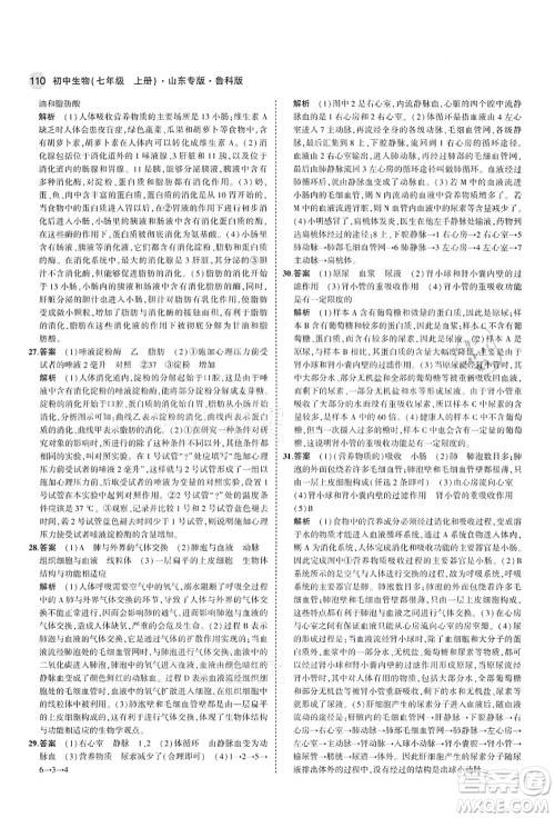教育科学出版社2021秋5年中考3年模拟七年级生物上册鲁科版山东专版答案