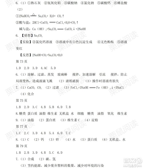 黑龙江少年儿童出版社2021暑假Happy假日九年级化学人教版答案