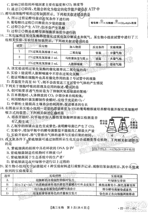 2022届贵州金太阳联考高三生物试题及答案