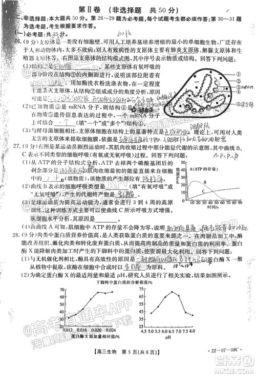 2022届贵州金太阳联考高三生物试题及答案