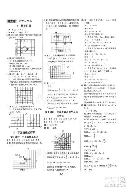 陕西人民教育出版社2021典中点综合应用创新题七年级数学上册五四学制LJ鲁教版答案 陕西人民教育出版社2021典中点综合应用创新题七年级数学上册五四学制LJ鲁教版答案