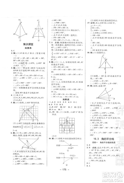 陕西人民教育出版社2021典中点综合应用创新题八年级数学上册JJ冀教版答案