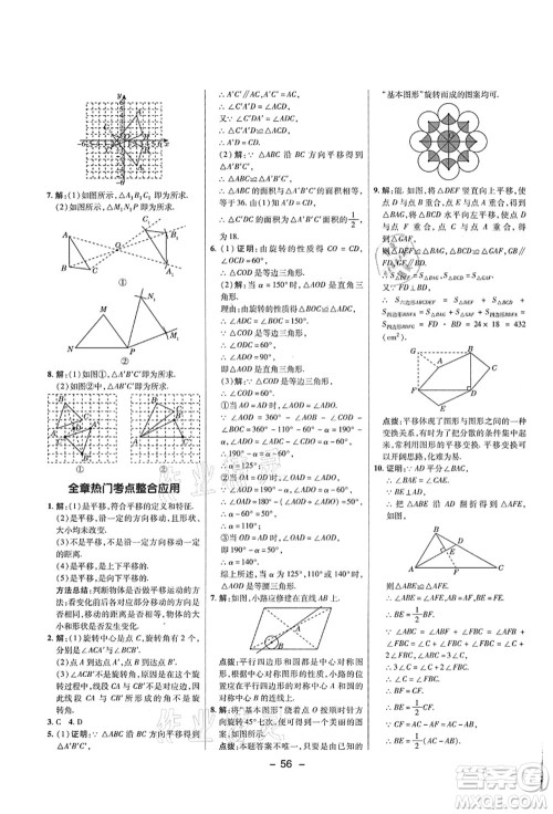 陕西人民教育出版社2021典中点综合应用创新题八年级数学上册五四学制LJ鲁教版答案