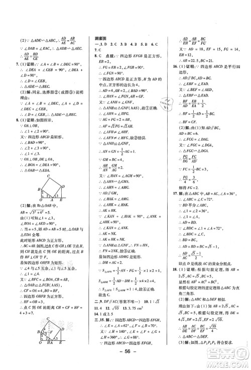 陕西人民教育出版社2021典中点综合应用创新题九年级数学上册BS北师大版答案 陕西人民教育出版社2021典中点综合应用创新题九年级数学上册BS北师大版答案