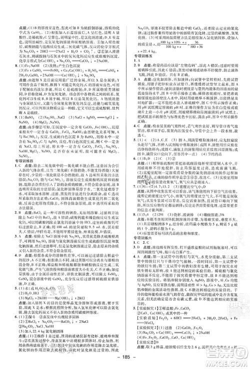 陕西人民教育出版社2021典中点综合应用创新题九年级科学全一册HS华师大版答案