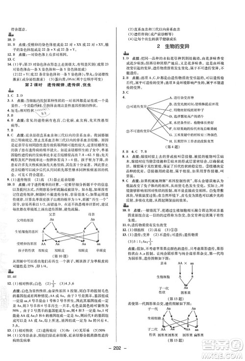 陕西人民教育出版社2021典中点综合应用创新题九年级科学全一册HS华师大版答案