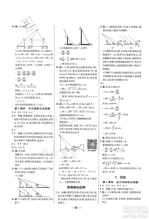 陕西人民教育出版社2021典中点综合应用创新题九年级数学上册五四学制LJ鲁教版答案