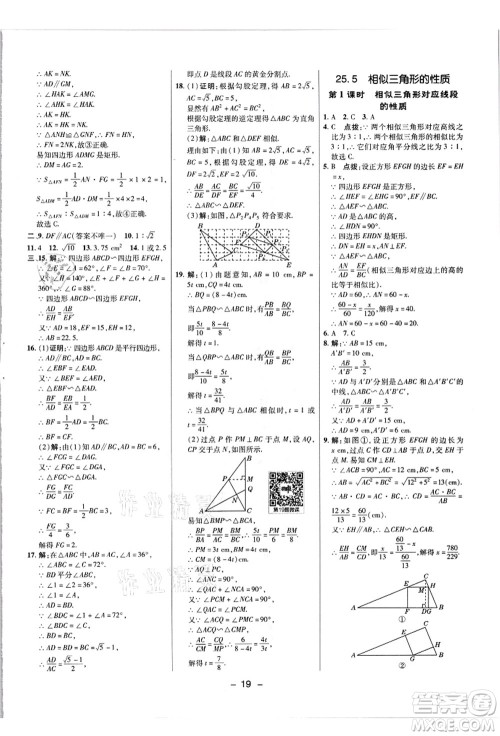 陕西人民教育出版社2021典中点综合应用创新题九年级数学上册JJ冀教版答案