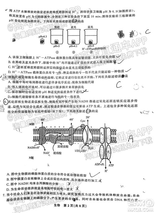 2022届高三年级江西智学联盟体第一次联考生物试卷及答案