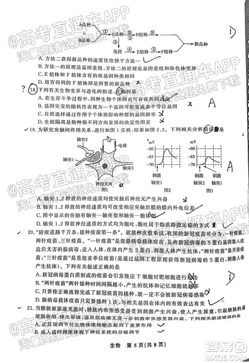 2022届高三年级江西智学联盟体第一次联考生物试卷及答案 2022届高三年级江西智学联盟体第一次联考生物试卷及答案