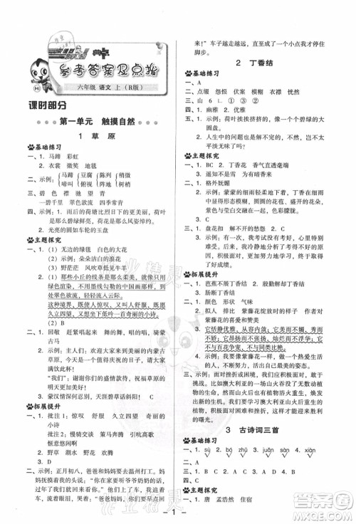 吉林教育出版社2021典中点综合应用创新题六年级语文上册R人教版答案