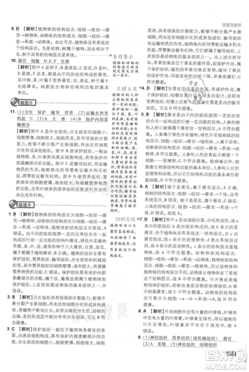 开明出版社2021初中必刷题七年级上册生物人教版参考答案