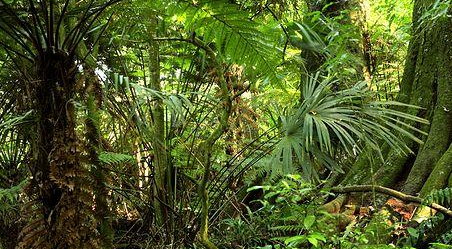 继承优秀传统文化树立远大人生目标的演讲稿作文800字 关于继承优秀传统文化树立远大人生目标的演讲稿作文800字 继承优秀传统文化树立远大人生目标的演讲稿作文800字 关于继承优秀传统文化树立远大人生目标的演讲稿作文800字