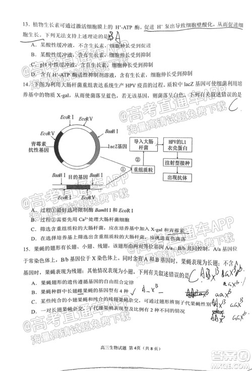 泉州市2022届高中毕业班质量监测一高三生物试题及答案