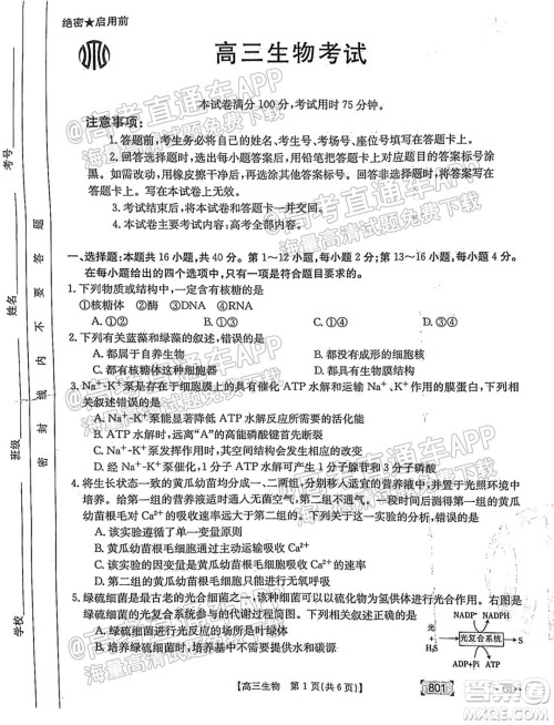 2022届广东高三8月金太阳联考生物试题及答案