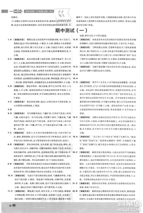 南京师范大学出版社2021一遍过八年级上册生物人教版参考答案