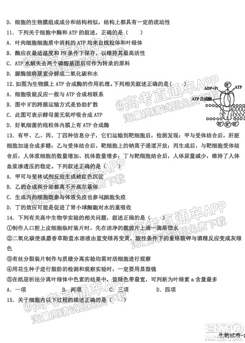 哈尔滨市第九中学校2021-2022学年度上学期适应性考试高三生物试题答案 哈尔滨市第九中学校2021-2022学年度上学期适应性考试高三生物试题答案