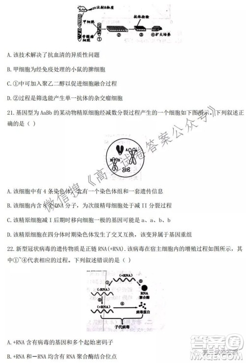 2021学年第一学期浙江省七彩阳光新高考研究联盟返校考生物试题及答案