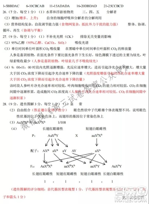 2021学年第一学期浙江省七彩阳光新高考研究联盟返校考生物试题及答案
