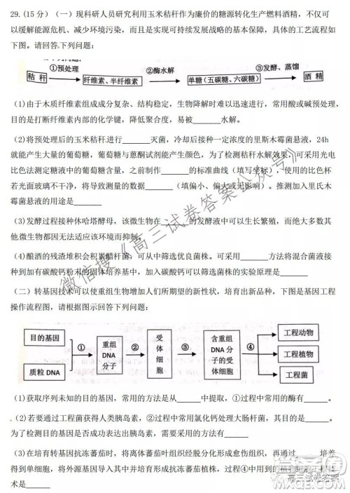2021学年第一学期浙江省七彩阳光新高考研究联盟返校考生物试题及答案