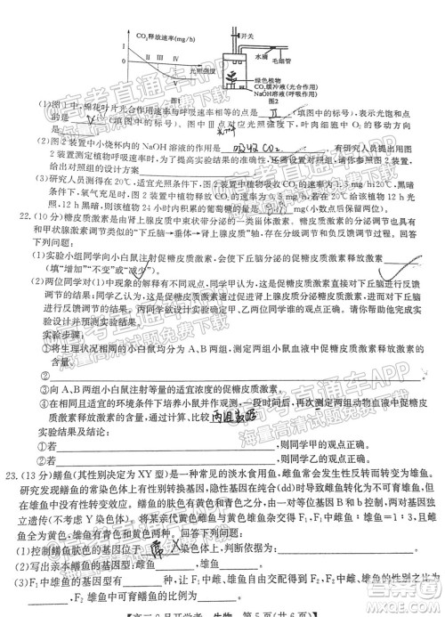 2022届九师联盟高三9月开学考生物试题及答案