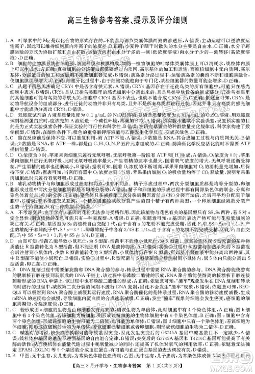 2022届九师联盟高三9月开学考生物试题及答案 2022届九师联盟高三9月开学考生物试题及答案