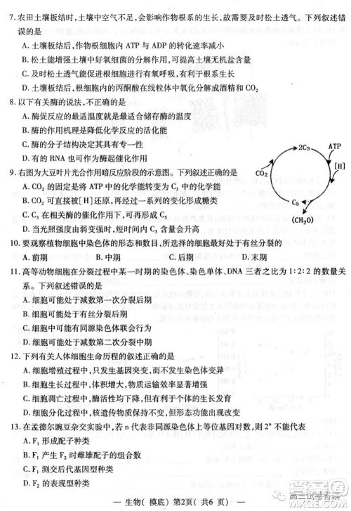 南昌市2022届高三摸底测试卷生物试题及答案 南昌市2022届高三摸底测试卷生物试题及答案