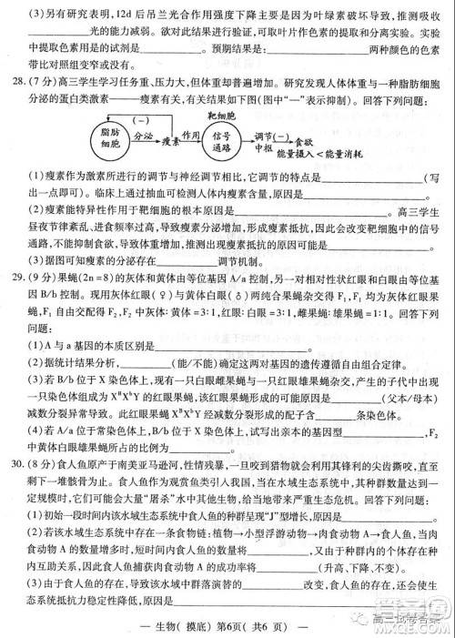 南昌市2022届高三摸底测试卷生物试题及答案