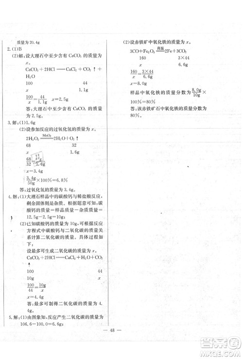 长江少年儿童出版社2021思维新观察九年级化学上册RJ人教版答案