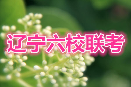 2021-2022学年度上辽宁省六校高三年级期初联考化学试题及答案 2021-2022学年度上辽宁省六校高三年级期初联考化学试题及答案