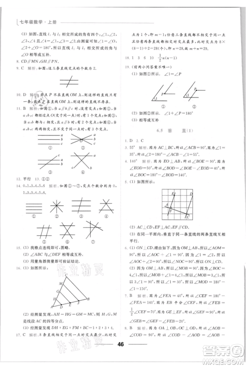 云南美术出版社2021秋季亮点给力提优课时作业本七年级上册数学通用版参考答案 云南美术出版社2021秋季亮点给力提优课时作业本七年级上册数学通用版参考答案