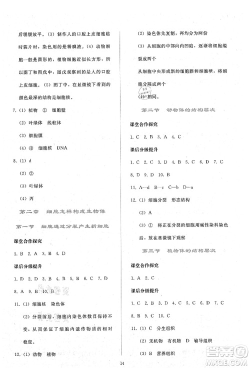 人民教育出版社2021同步轻松练习七年级生物上册人教版答案 人民教育出版社2021同步轻松练习七年级生物上册人教版答案
