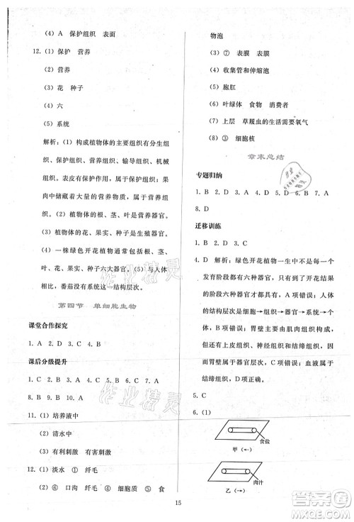 人民教育出版社2021同步轻松练习七年级生物上册人教版答案