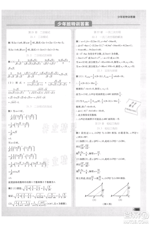开明出版社2021少年班初中数学九年级上册华师大版参考答案