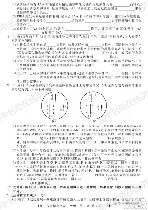 天壹名校联盟2022届高三入学摸底考试生物试题及答案 天壹名校联盟2022届高三入学摸底考试生物试题及答案