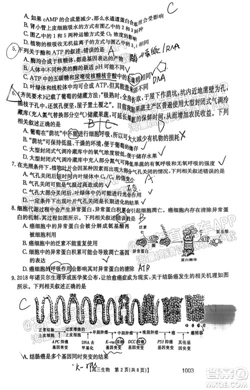 2022届金太阳百万联考1003高三生物试题及答案