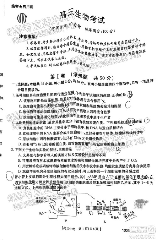 2022届金太阳百万联考1003高三生物试题及答案 2022届金太阳百万联考1003高三生物试题及答案