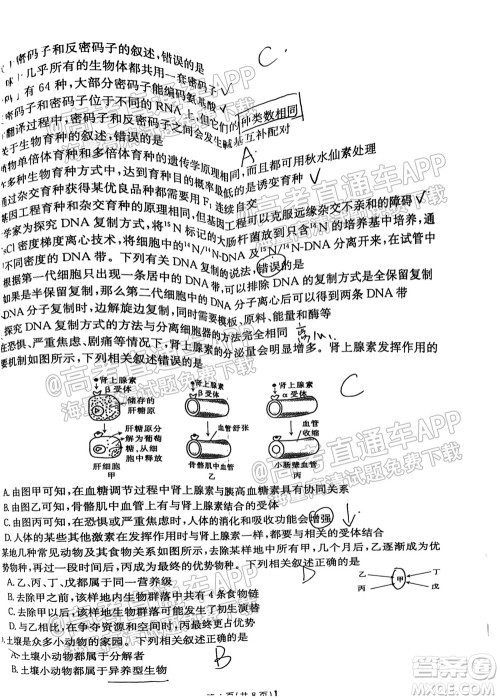 2022届金太阳百万联考1003高三生物试题及答案
