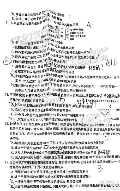 2022届金太阳百万联考1003高三生物试题及答案