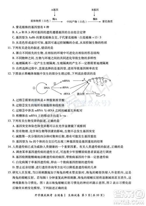 百师联盟2022届高三开学摸底联考全国卷生物试卷及答案 百师联盟2022届高三开学摸底联考全国卷生物试卷及答案