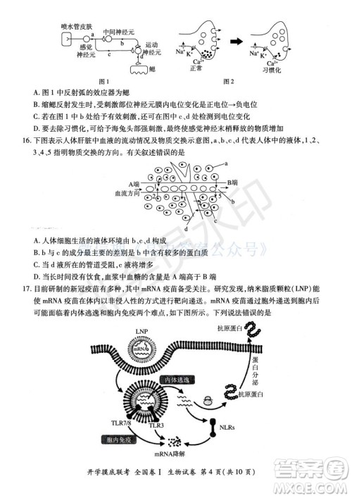 百师联盟2022届高三开学摸底联考全国卷生物试卷及答案 百师联盟2022届高三开学摸底联考全国卷生物试卷及答案