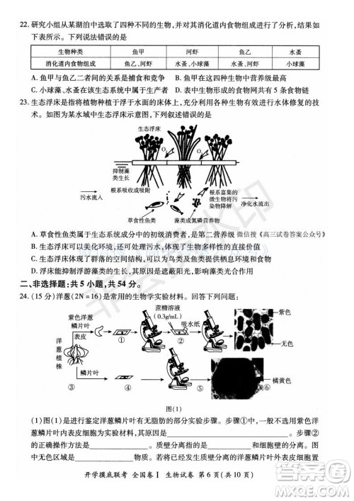 百师联盟2022届高三开学摸底联考全国卷生物试卷及答案 百师联盟2022届高三开学摸底联考全国卷生物试卷及答案