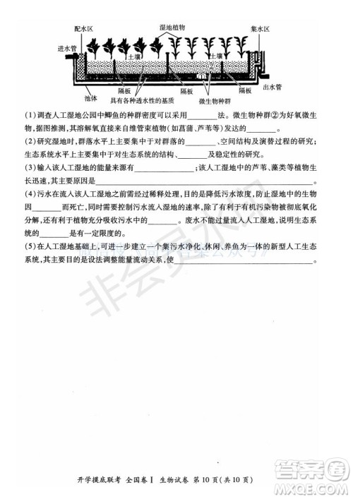 百师联盟2022届高三开学摸底联考全国卷生物试卷及答案 百师联盟2022届高三开学摸底联考全国卷生物试卷及答案