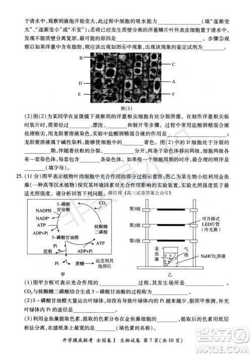 百师联盟2022届高三开学摸底联考全国卷生物试卷及答案