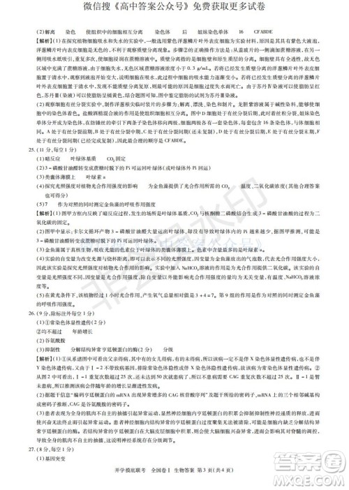 百师联盟2022届高三开学摸底联考全国卷生物试卷及答案 百师联盟2022届高三开学摸底联考全国卷生物试卷及答案