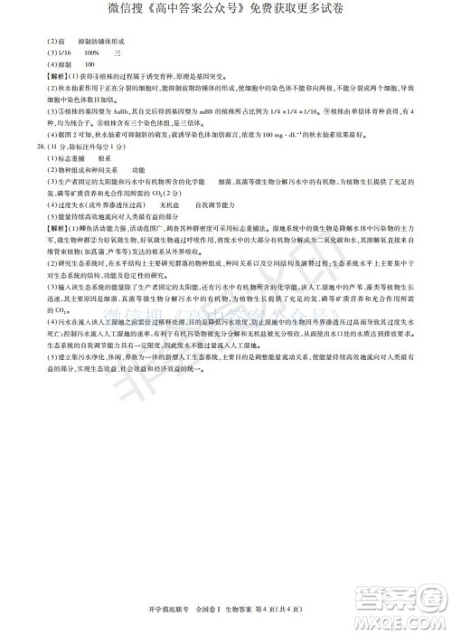 百师联盟2022届高三开学摸底联考全国卷生物试卷及答案 百师联盟2022届高三开学摸底联考全国卷生物试卷及答案