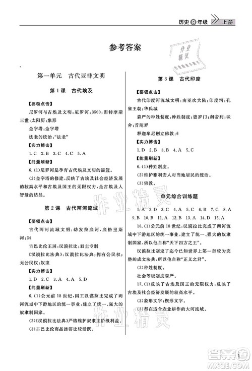 武汉出版社2021智慧学习天天向上课堂作业九年级历史上册人教版答案