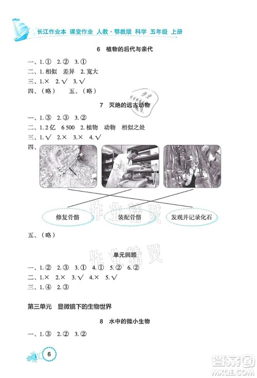 湖北教育出版社2021长江作业本课堂作业五年级科学上册人教鄂教版答案 湖北教育出版社2021长江作业本课堂作业五年级科学上册人教鄂教版答案